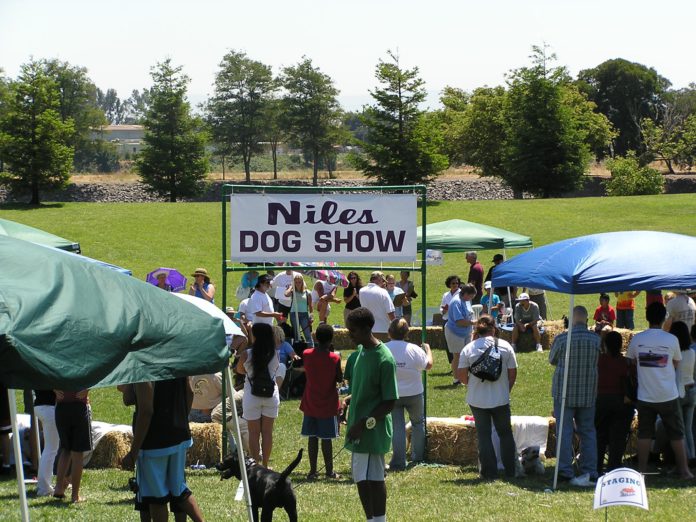 Niles Dog Show celebrates 24 years of tail waggin’ fun