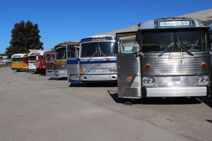 A partial lineup of the PBM bus collection