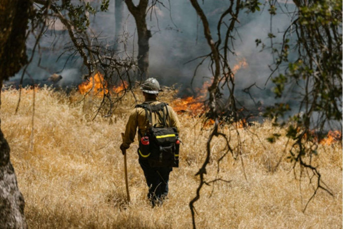 Predicting Wildfires: Mitigation Through Knowledge