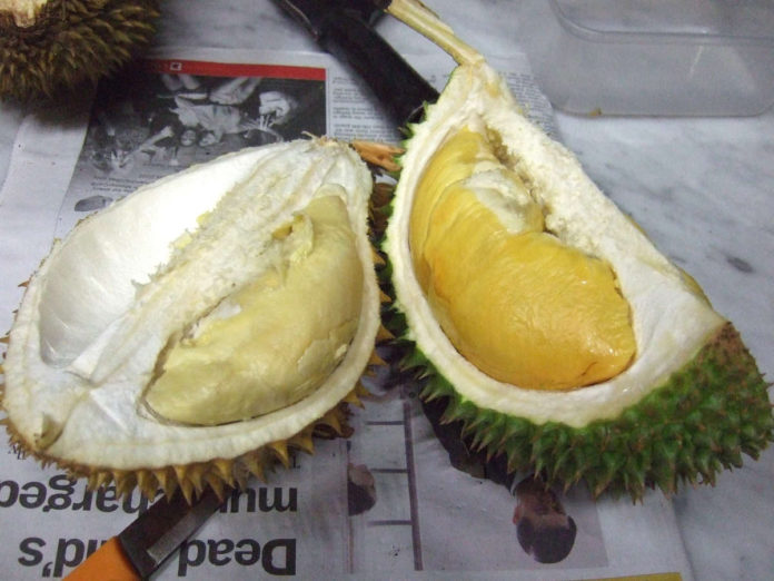 Durian, love it or hate it?