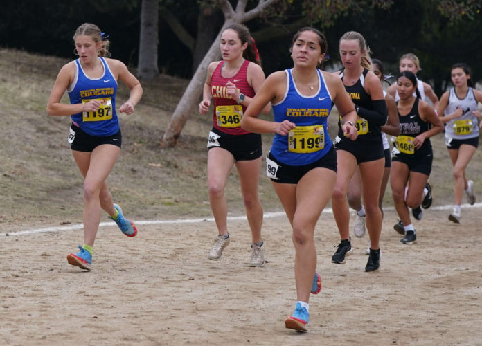 Newark Memorial Cross Country team makes their mark at the State Championship