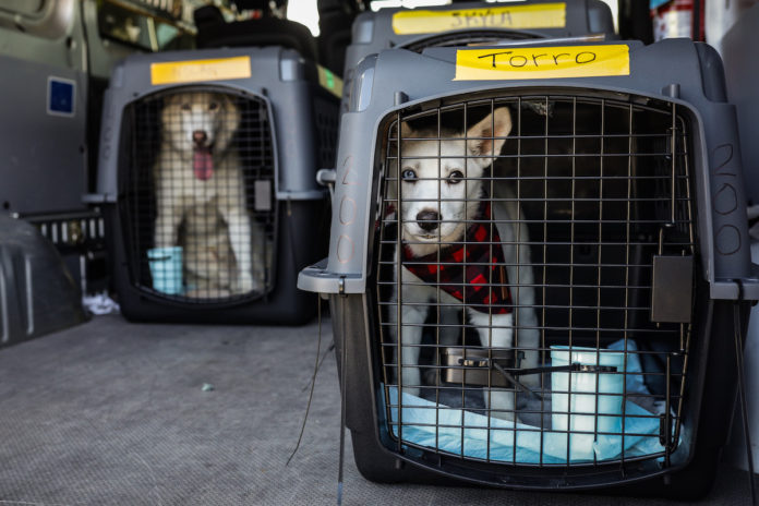 Bay Area steps up as San Diego shelter fills