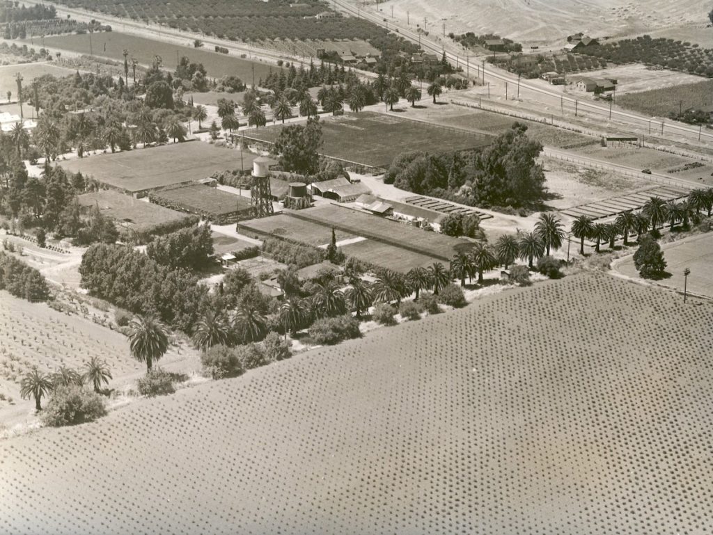 Aerial view of California Nursery, 1937. (Niles)