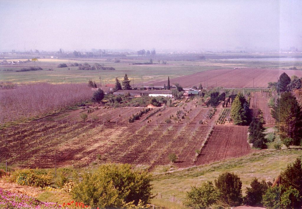 Aerial view of Edenvale Nursery, 1955. (Niles)