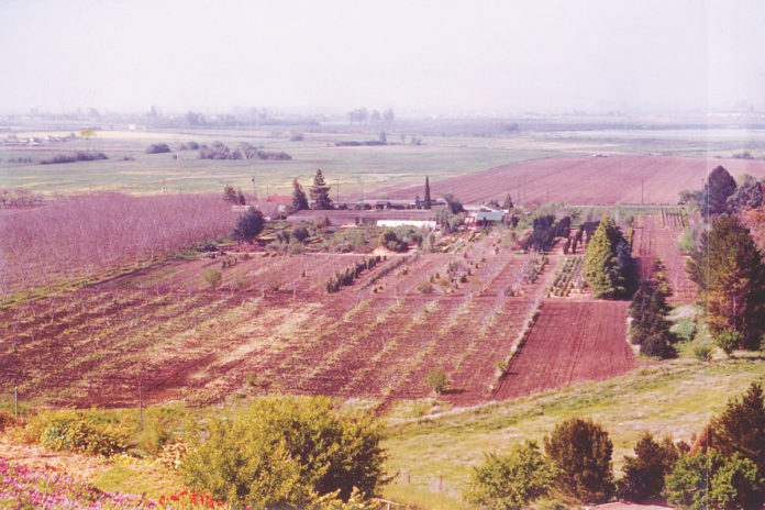 Tri-City History A-Z in Photographs #14: Nurseries