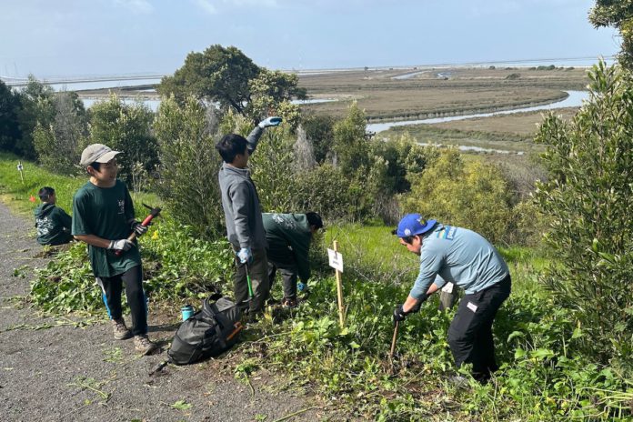 Local students contribute to community