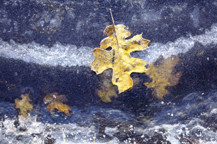 ImageCentral opens annual spring photography show