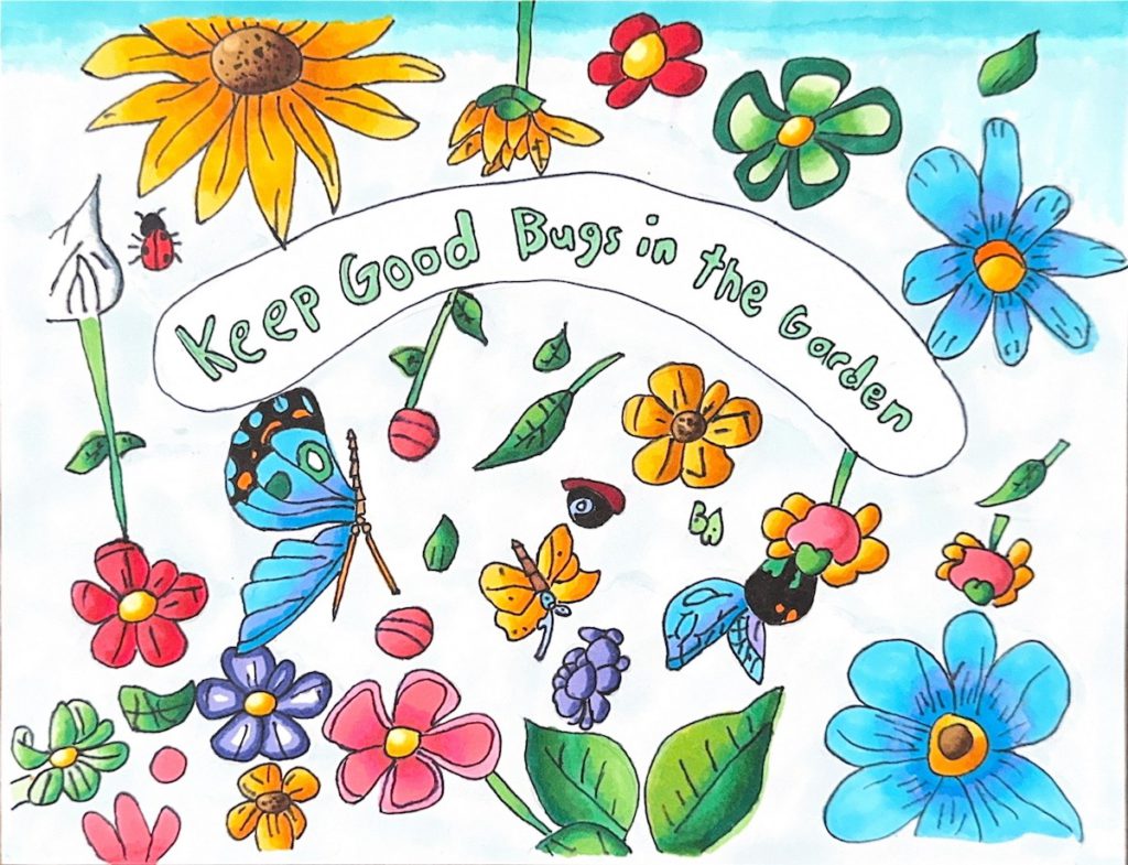 DAYLEN C. is a 3rd Grade winner from Leas Christian School. Courtesy of Allison Rodacker