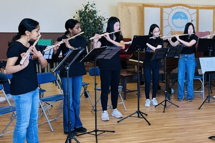 Youth orchestra offers summer camp