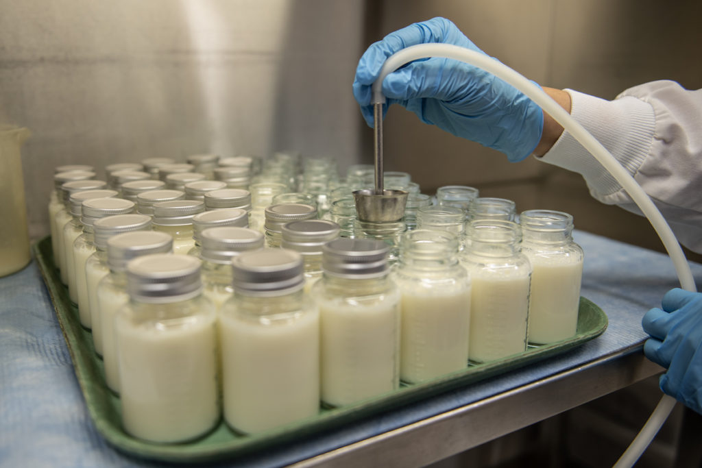 After donors provide medical history and do a blood test, donor milk is pasteurized, tested and packaged to make it safe for the recipient baby. Courtesy of Mother’s Milk Bank California