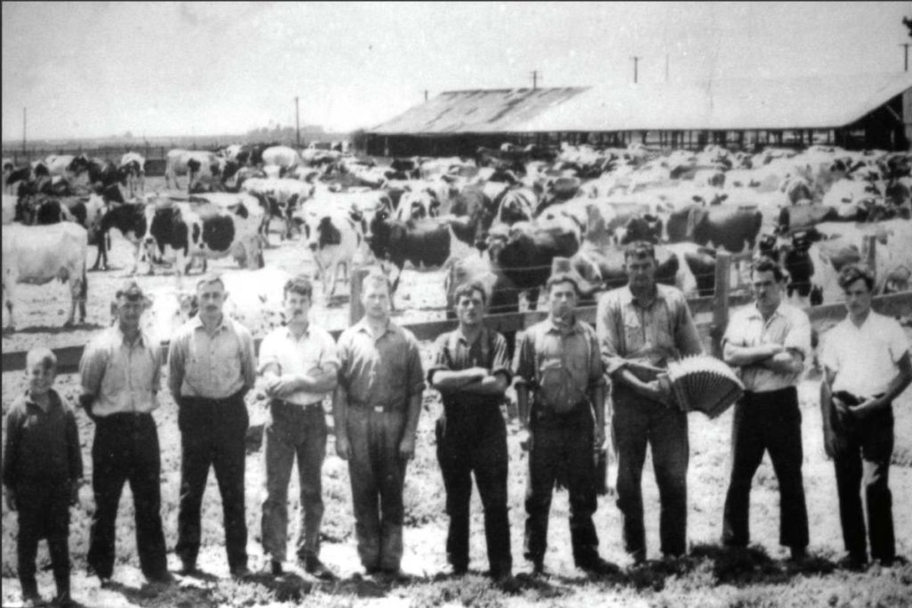 Swiss dairymen from Albertsen’s Dairy at Mowry Station, 1931. (Newark) Courtesy of Washington Township Museum of Local History