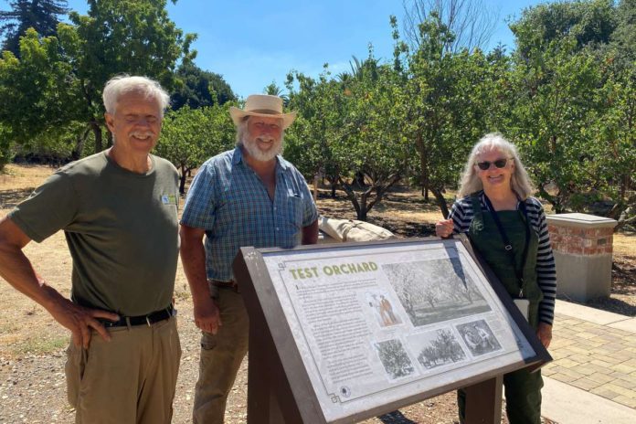 Restoration plans return test orchard to its roots