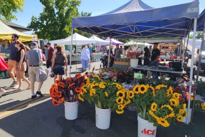 Seven farmers markets produce a unique experience