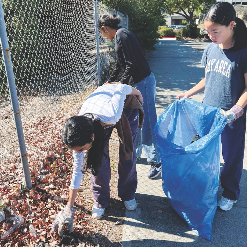 A Tule Ponds cleanup was an opportunity to clear trash and learn about local plants. Courtesy of Greenkeepers
