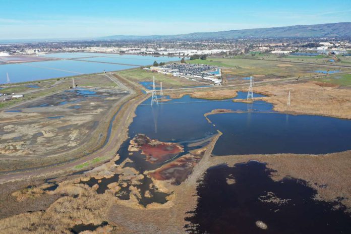 Environmental groups present petition against Mowry Village Project