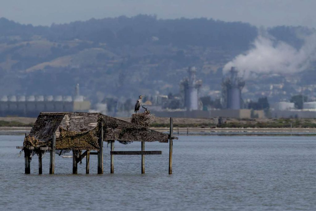 Fremont Photographic Society members take on subjects from the exotic to the local.
May Chen
