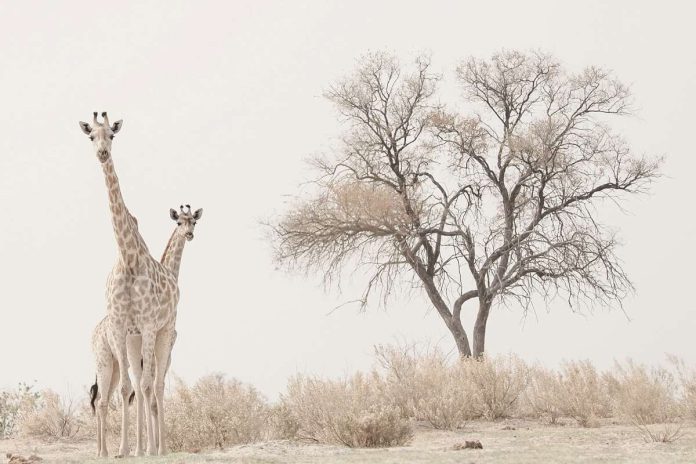 See the world through the photographer’s eye