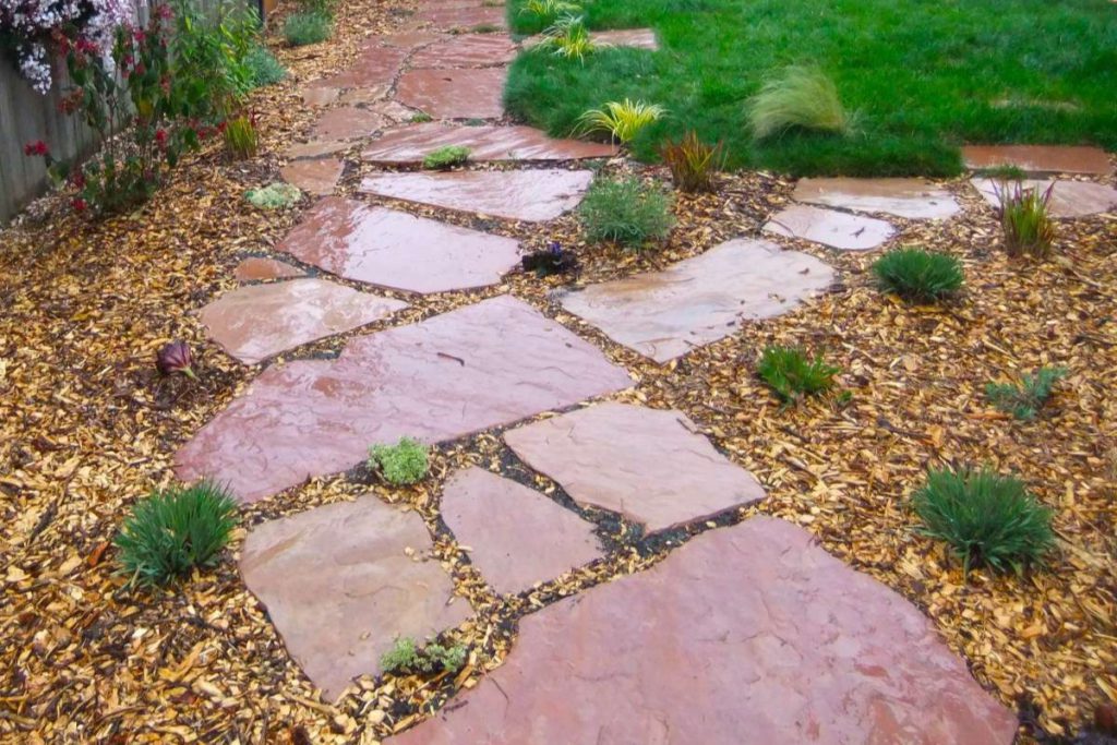 Arizona Rosa brings warmth to the garden with pink, peach, orange and burgundy.
Daniel O’Donnell