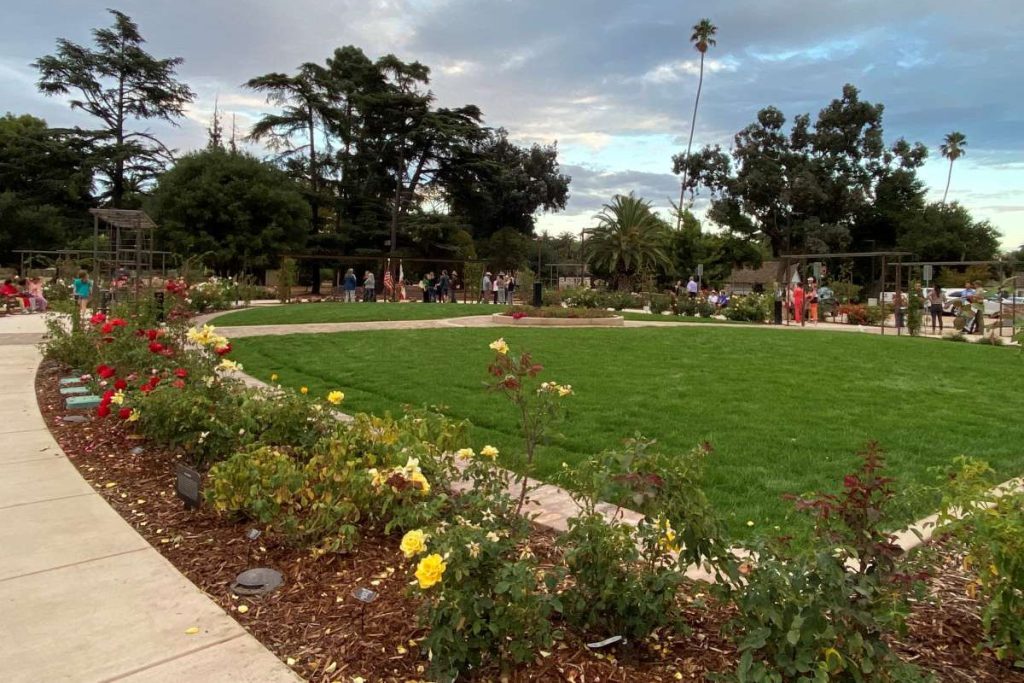 The plaza includes lawns, paths, and rows and clusters of rose bushes. Stephanie Uchida