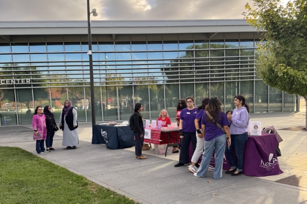 Various domestic violence awareness organizations shared information and resources at the event. Roelle Balan