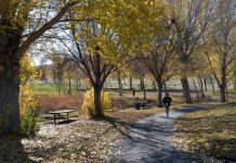 Green Friday is Free Park Day Hikes in local parks can help us have gratitude for our cities and the natural world. Photos courtesy of East Bay Regional Park District