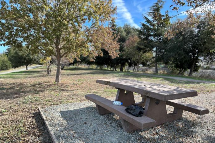 Fremont evicts homeless from Isherwood encampment