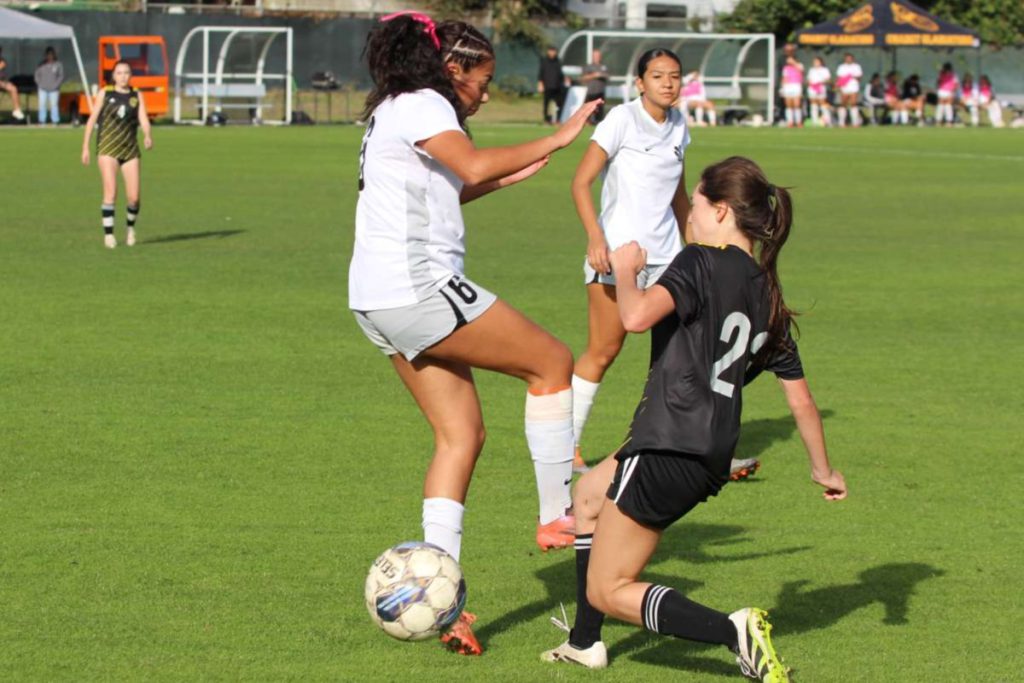 Chabot fought against Reedley College after making it to regionals for the first time in 16 years.
Photos by Leonardo Torres