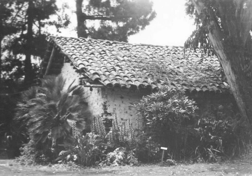 View of the Vallejo Adobe at California Nursery, taken in 1967. (Niles)
Photos courtesy of Washington Township Museum of Local History