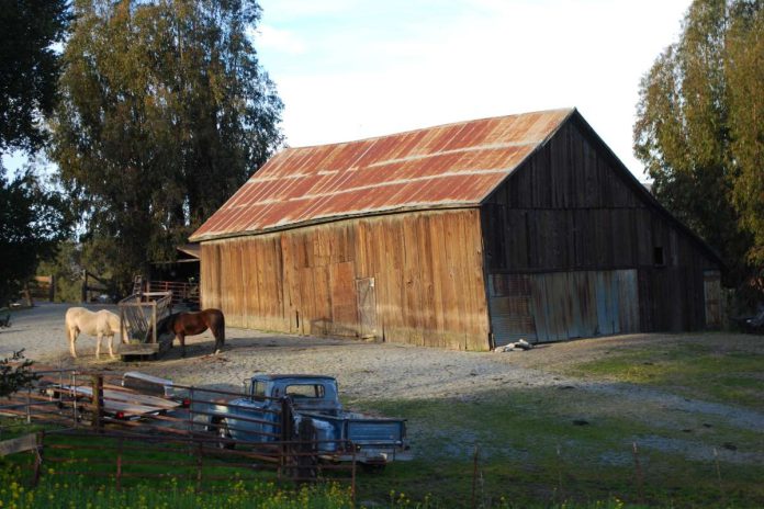Photos chronicle barns 'From Hay Day to Fading Away'