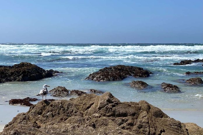 A flash of inspiration