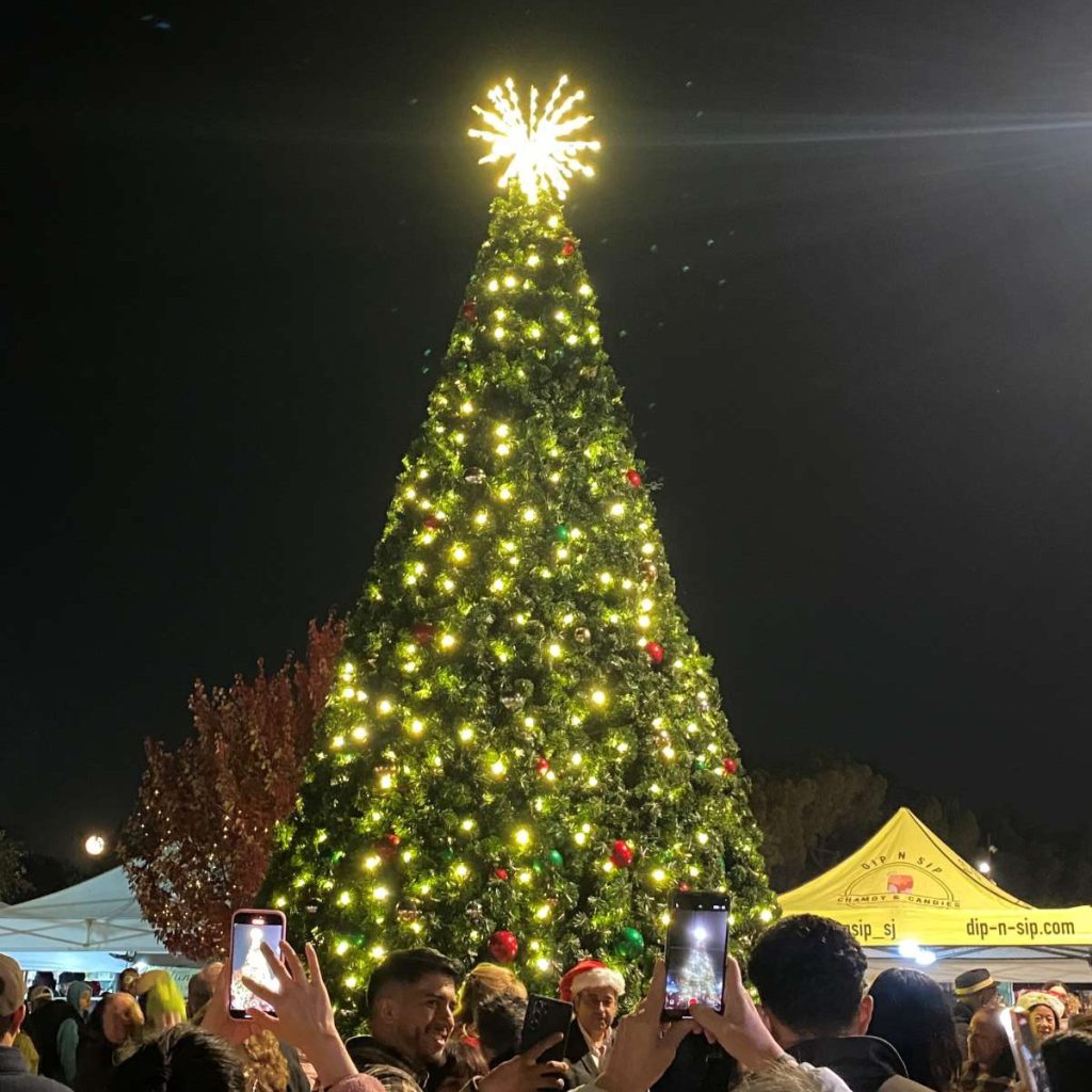 Slightly over-excited, the tree lit up a few seconds into the countdown.
Photos by Stephanie Uchida