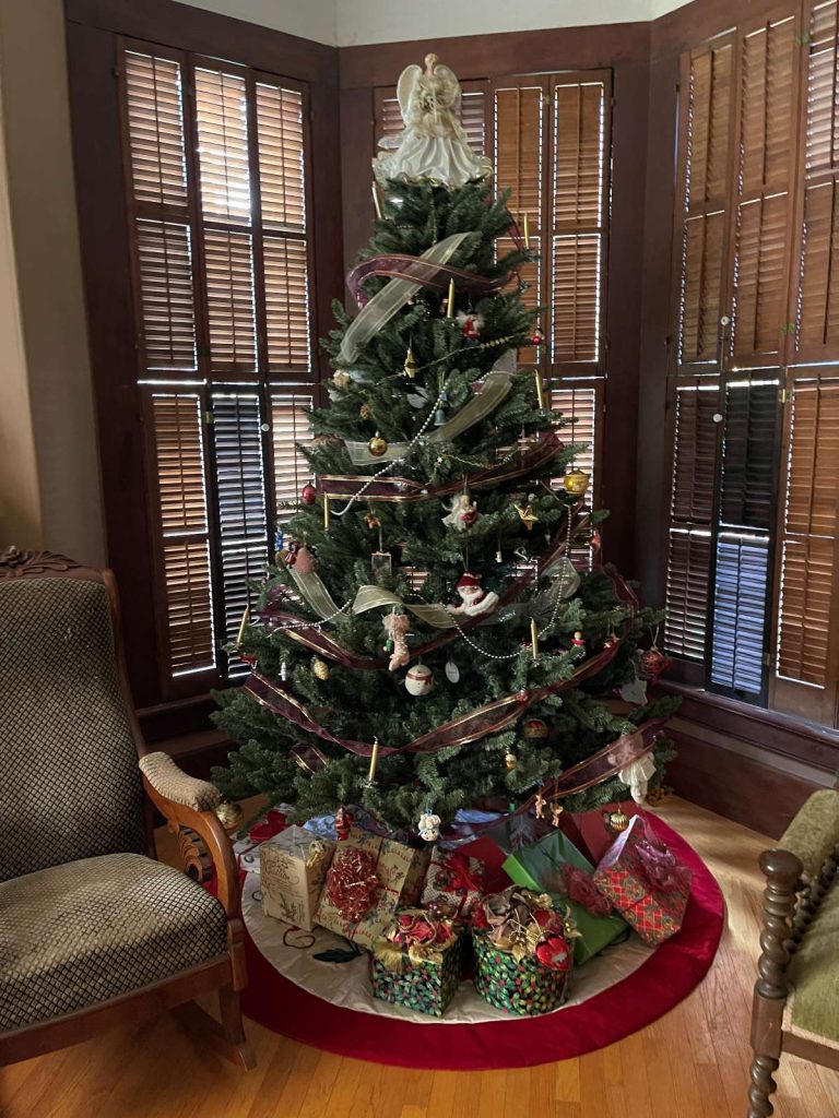 Shinn House was built in 1876. Janet Barton