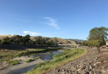 CalTrout removes last fish barrier on Alameda Creek CalTrout removes last fish barrier on Alameda Creek