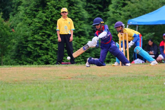 Cricket players caught in the pitch