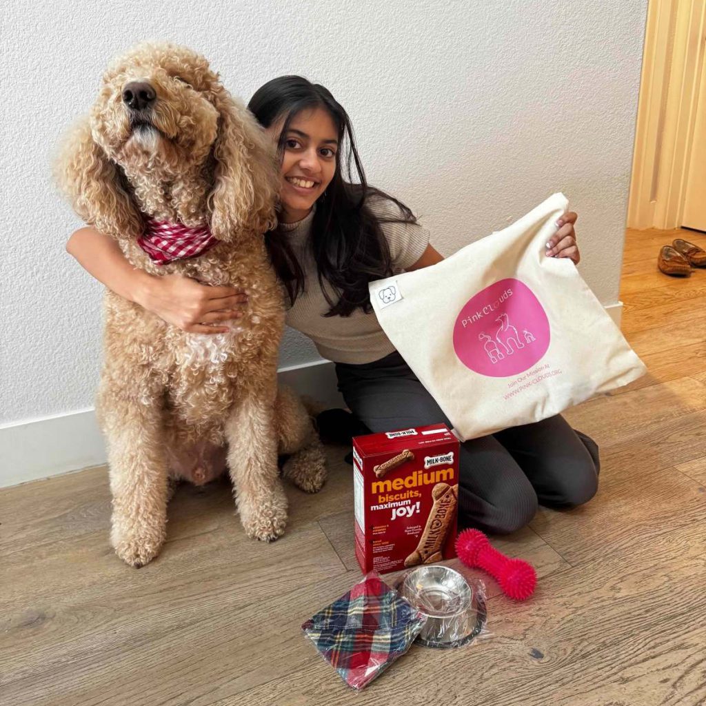 Sachi Param’s goldendoodle, Luke, inspired her interest in supporting animal shelters.
Photos courtesy of Sachi Param