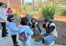 Girl Scouts campaign against artificial turf Girl Scouts campaign against artificial turf