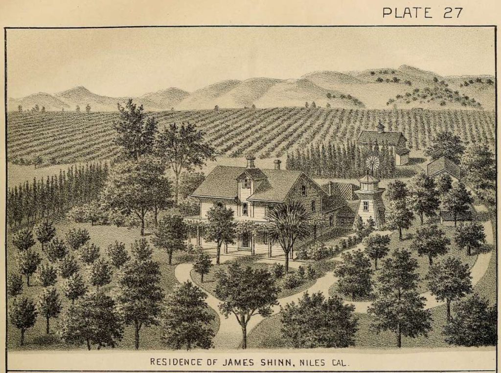SWEET HOME An 1893 illustration shows James Shinn’s house surrounded by orchards and open space.
Mission Peak Heritage Foundation