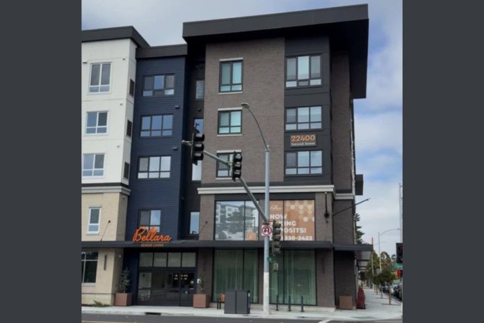 February happenings in Downtown Hayward