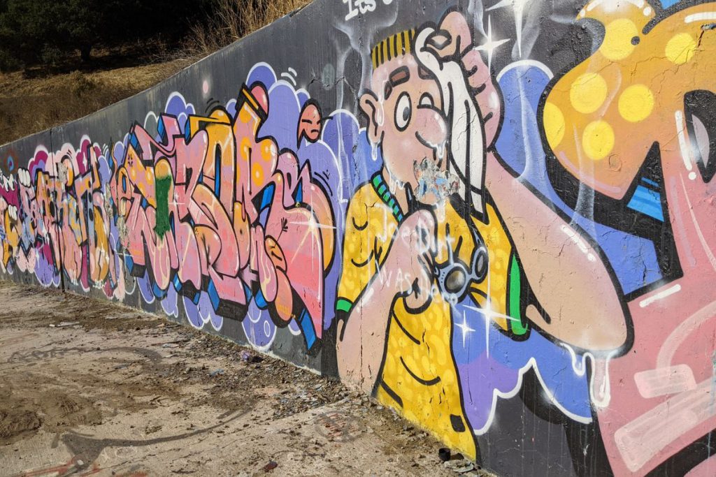 Graffiti along San Lorenzo Creek are works of art.
Collin Thormoto
