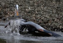 Contest captures local photographer talent Contest captures local photographer talent