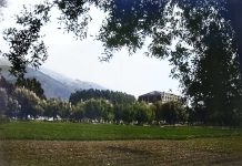 Dominican Sisters celebrate 150th Dominican Sisters celebrate 150th