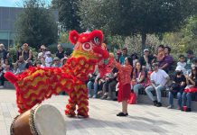 Newark celebrates Lunar New Year CHOW DOWN Newark City Councilmember Julie Del Catancio holds up a cabbage as the Lion ‘eats’ it. Photos by Roelle Balan