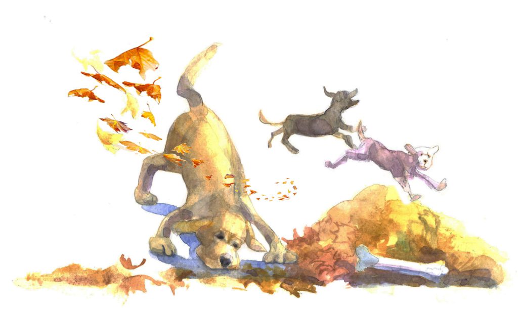 DOG DAYS ‘Unlikely Friends Indeed’ by Hilary Mills Lambert and Jana Haertl features two dogs with different special needs. Hilary Mills Lambert and Jana Haertl