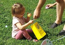 Sometimes eggs go chirp Sometimes eggs go chirp