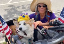 Indivisible-Fremont joins nationwide ‘No Kings’ protest Indivisible-Fremont joins nationwide ‘No Kings’ protest