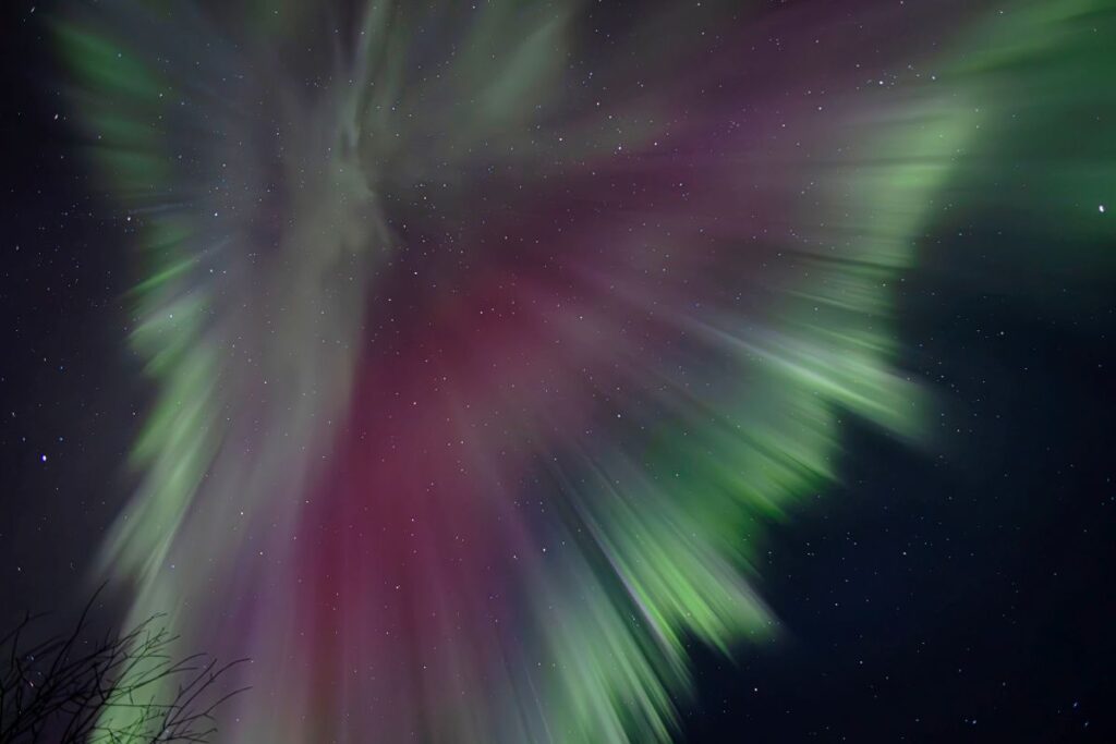 ASPIRING ARTISTS The 39th ImageCentral show features the work of 25 emerging and established artists.
Beth Zuckerman