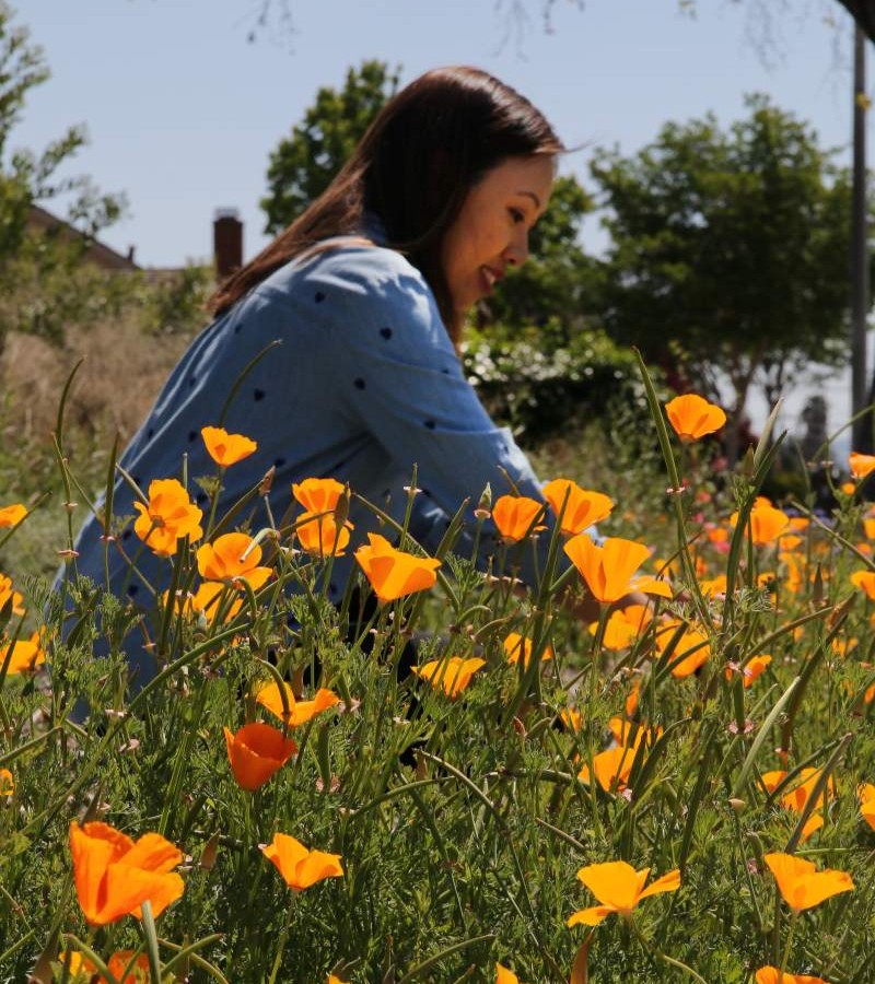 CALIFORNIA PRIDE Newark resident Yen Bui’s garden is bright with California poppies.
Victor Carvellas