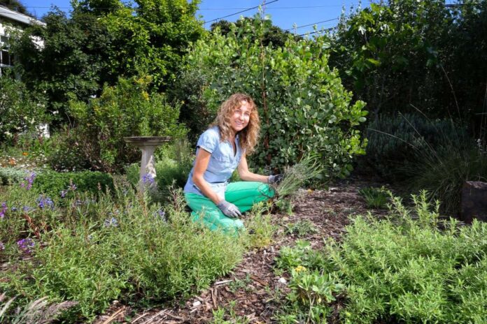 Natives are back and brighter than ever