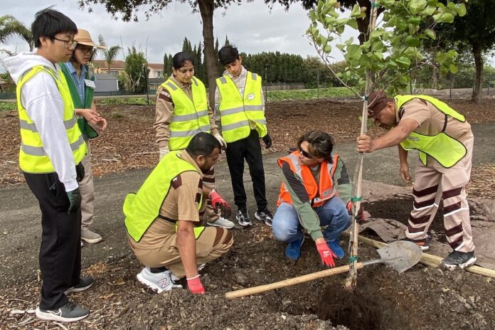 Union City holds first community tree planting