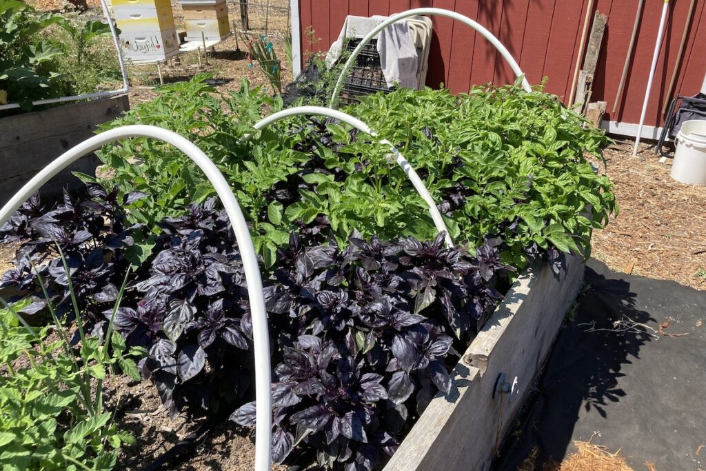 BED TIME A limited number of plots are still available for people to claim for 2026.
Photos courtesy of Barbara Hagel